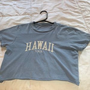 small cropped brandy melville graphic tee : hawaii